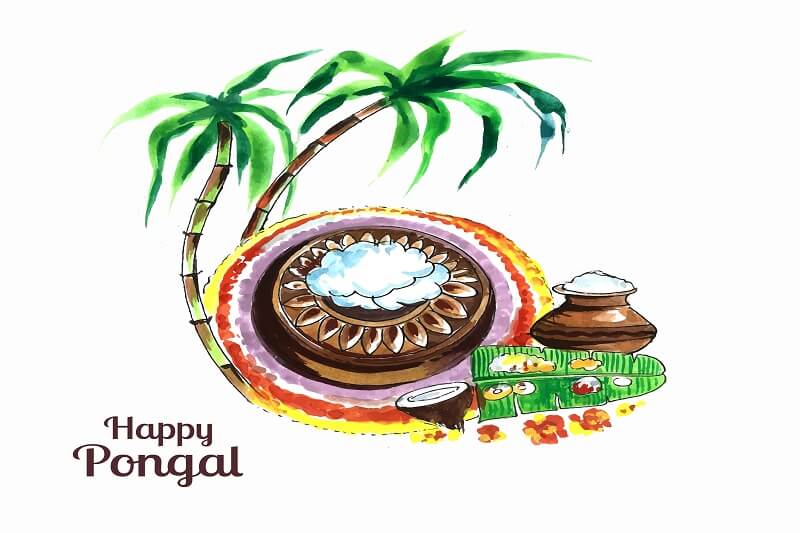 South indian festival pongal background