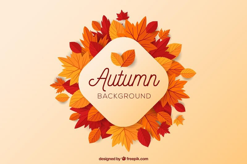 Autumn Vector Graphics
