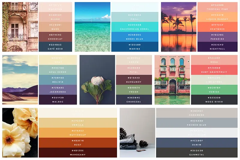 Color Palettes With Flexbox