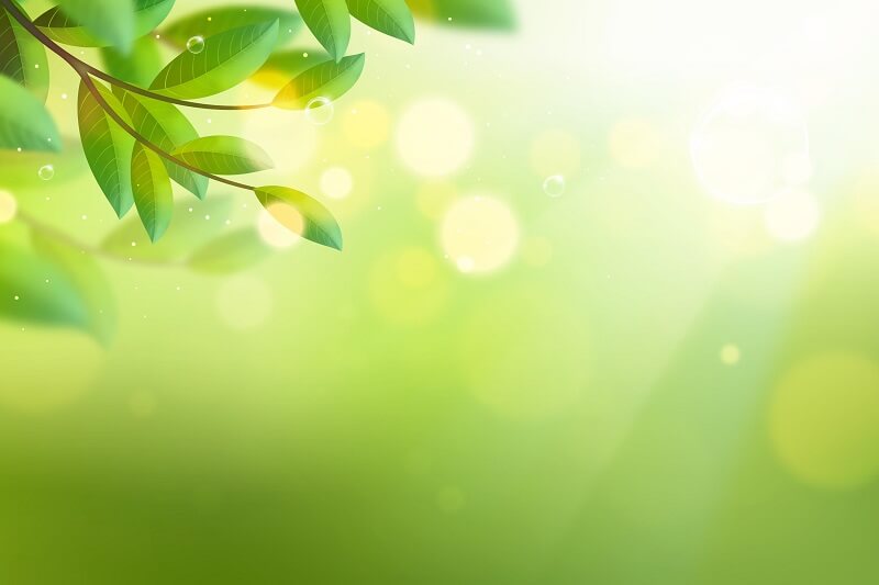 Copy space bokeh spring lights background