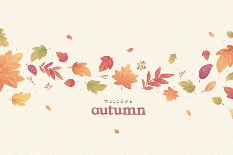 Flat design autumnal leaves background