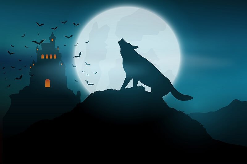 Halloween background with wolf howling at the moon
