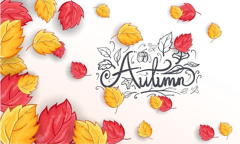 Hand drawn happy autumn greeting background