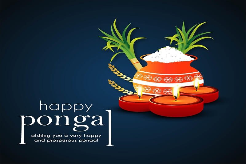 Happy Pongal Vector Graphics