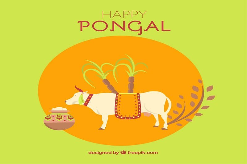 Happy pongal background with a cow