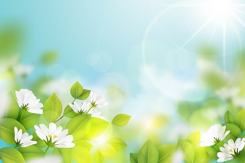 Realistic blurred spring background