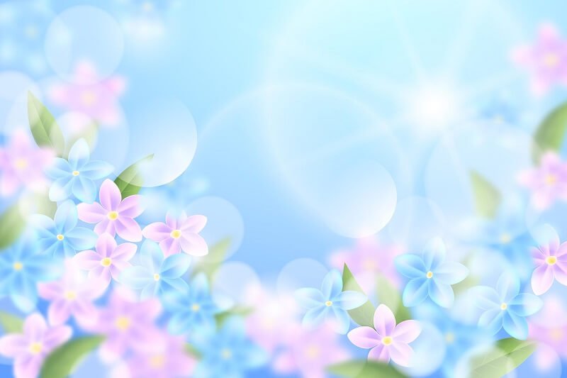 Sky and pink flowers realistic blurred spring background