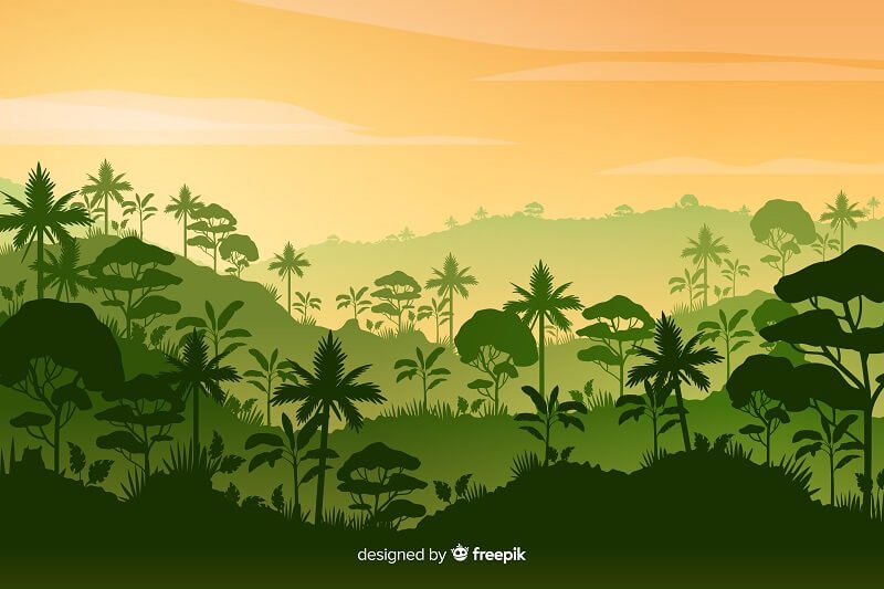 Tropical forest landscape with dense forest