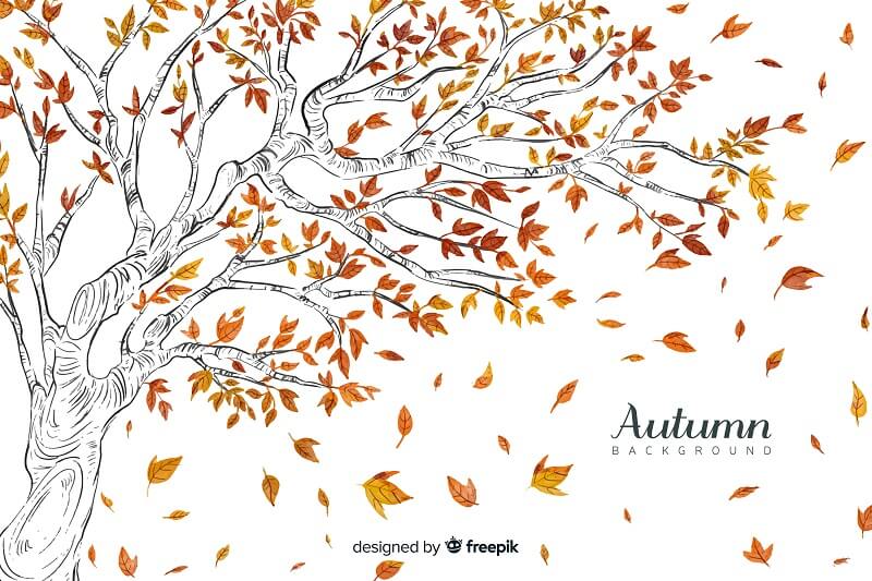 Watercolor autumn background with leaves
