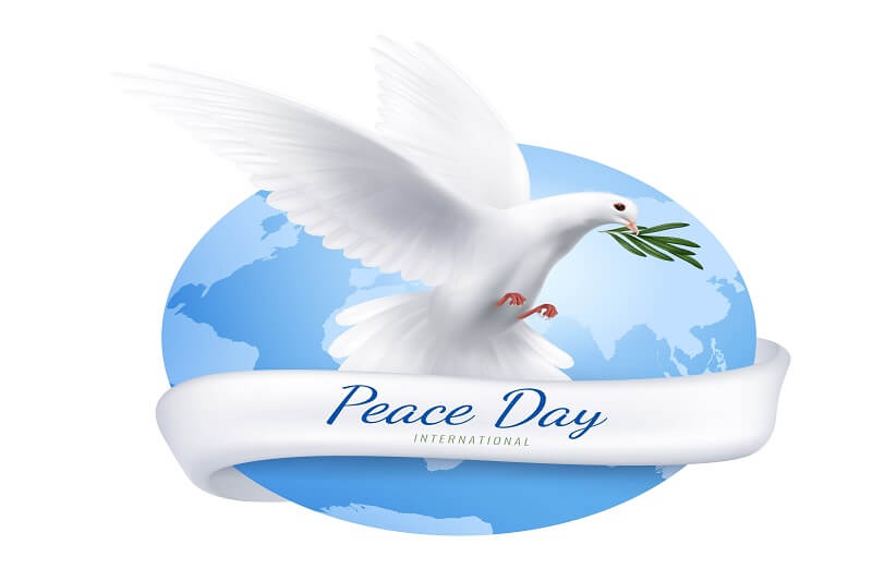 White dove for world peace day