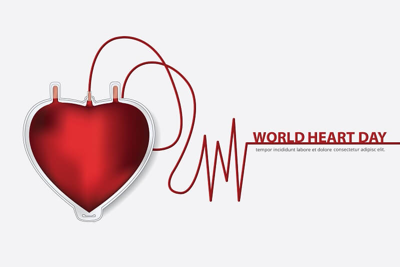 World heart day poster design template vector illustration