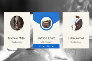 20 Best Free CSS Profile Cards In 2025
