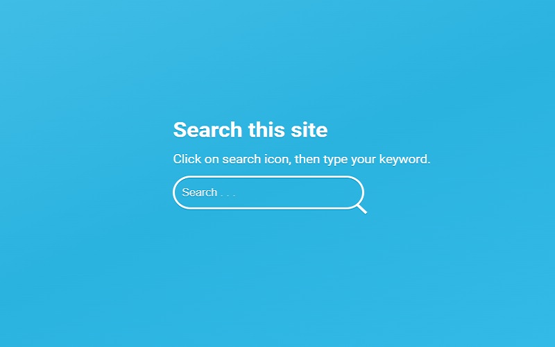 Search Bar