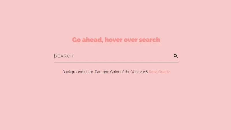 CSS Effect for Search Input