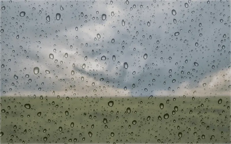 Water Droplets On Window