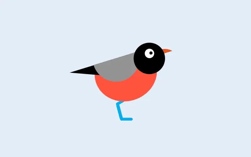 Bird Animation