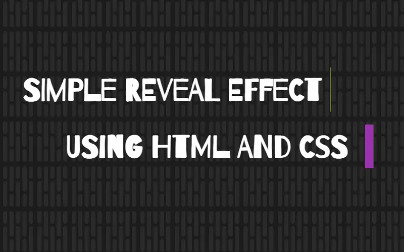 Block Reveal Effect HTML and CSS
