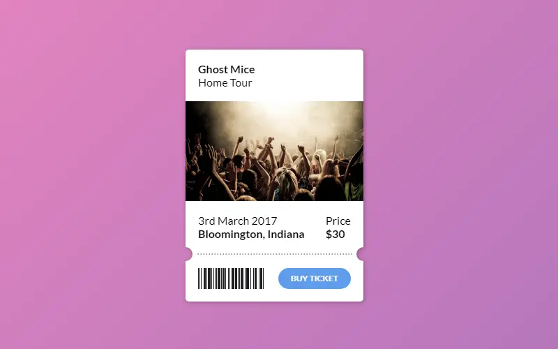 CSS Concert Ticket Purchase