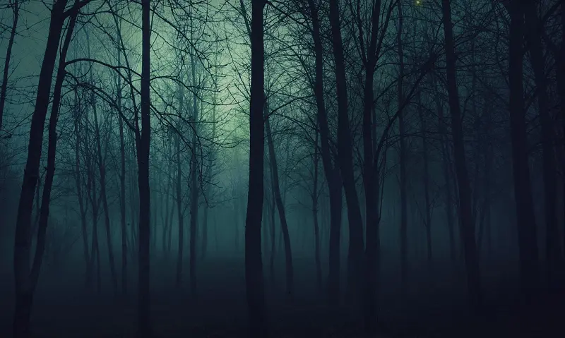 CSS Fireflies: CSS Animated Backgrounds
