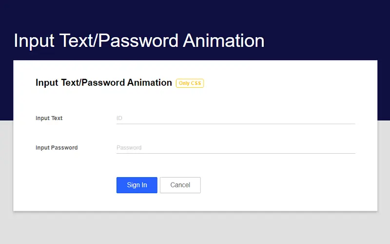 CSS3 Input Text Password Animation