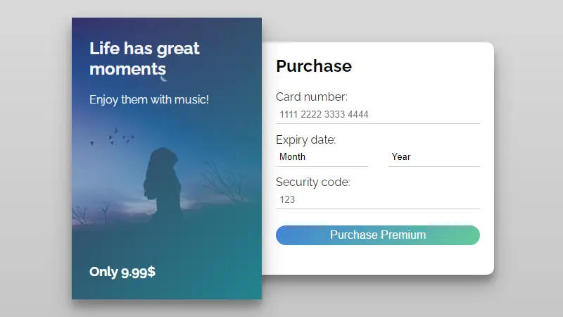 Credit Card CSS Checkout Form