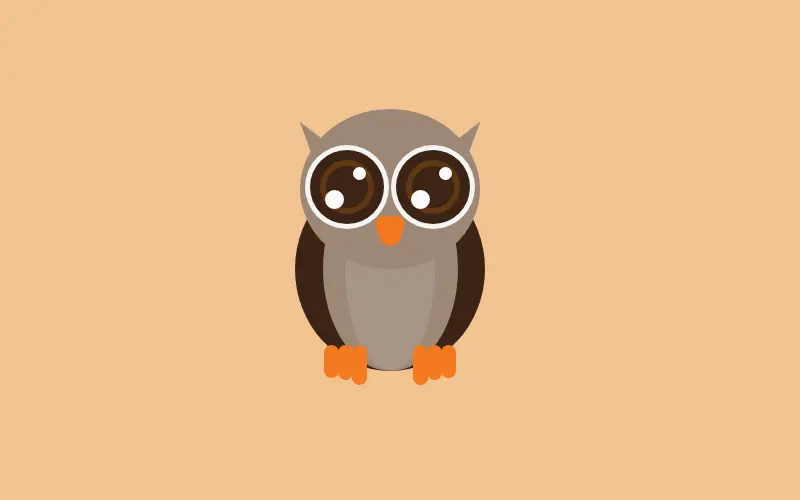 Cute Owl CSS Only