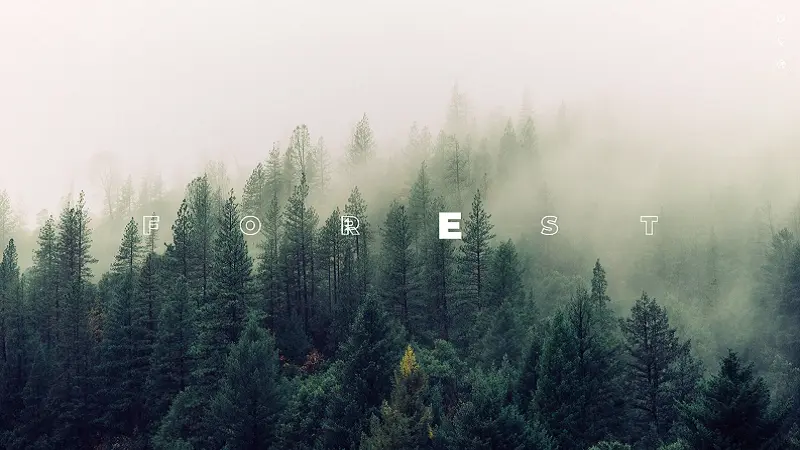 Hover Effect For Headers
