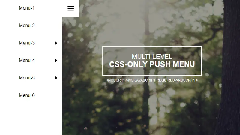 Multi Level CSS Only Push Menu