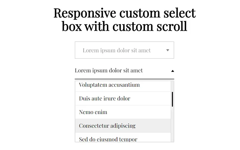 Responsive Custom Select Box
