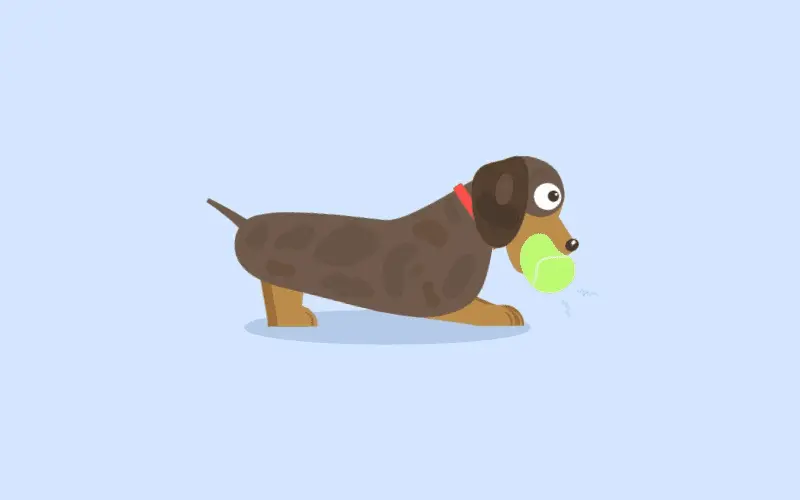 Sausage Dog CSS Only Animation