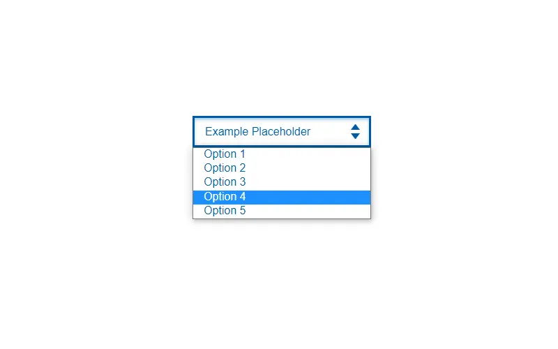Select Box With Placeholder