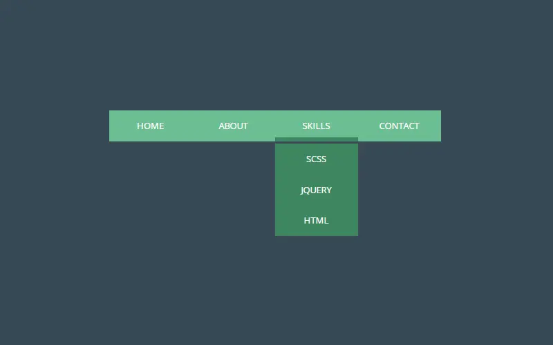 Simple Pure CSS Dropdown Menu